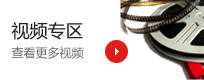 乐鱼